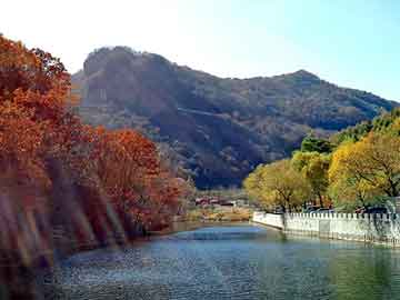 澳门天天开奖免费资料，电磁板